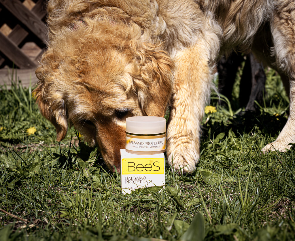 Protective balm