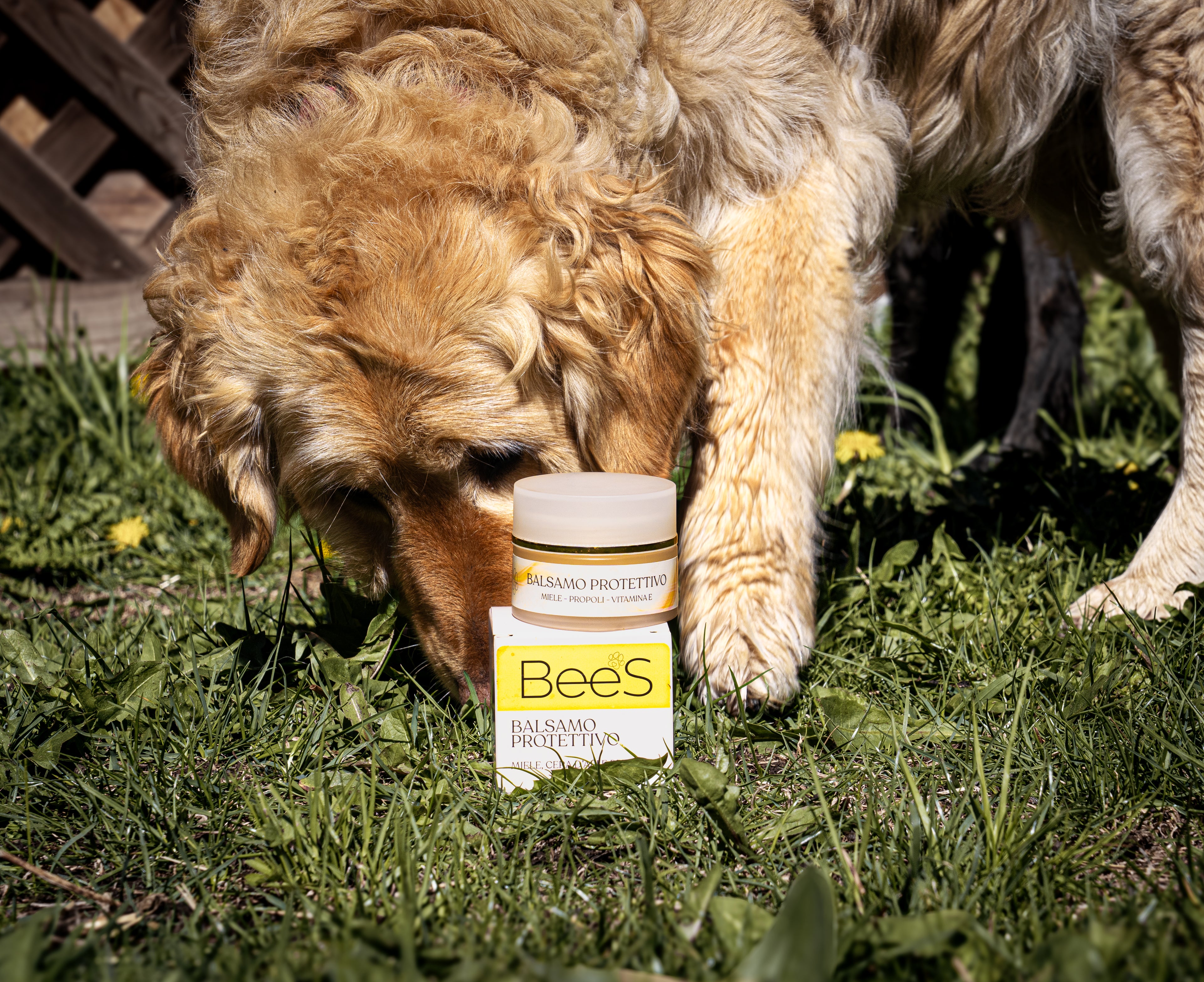 Protective balm
