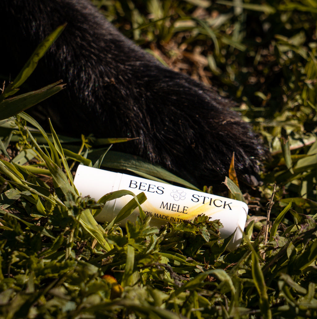Stick protettivo per polpastrelli