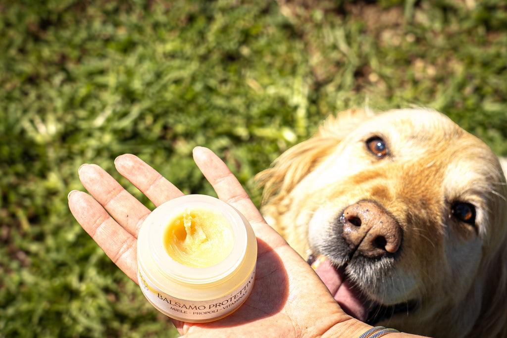Protective balm