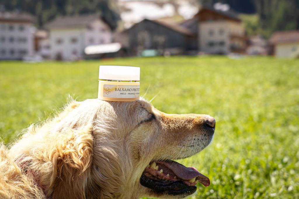Protective balm